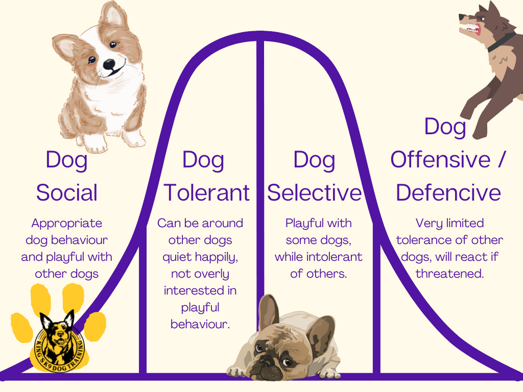 Dog Sociability Scale